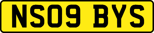 NS09BYS