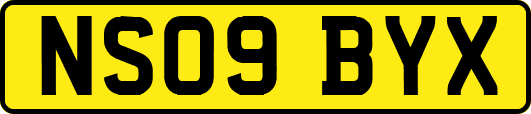 NS09BYX