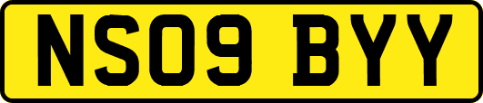 NS09BYY
