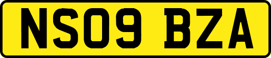 NS09BZA