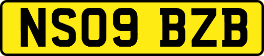 NS09BZB