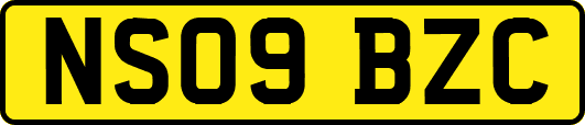 NS09BZC