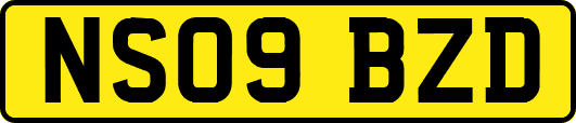 NS09BZD