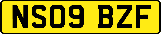 NS09BZF