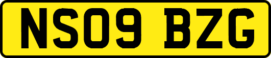 NS09BZG