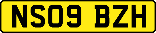 NS09BZH