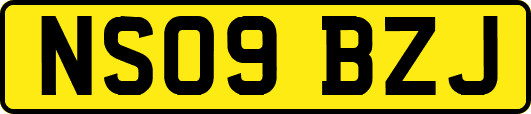 NS09BZJ