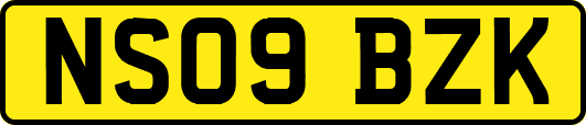 NS09BZK
