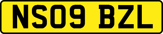 NS09BZL