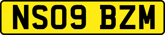 NS09BZM