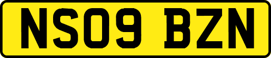 NS09BZN