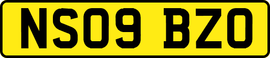 NS09BZO