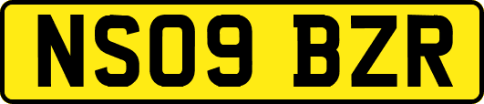 NS09BZR