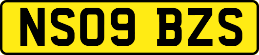 NS09BZS
