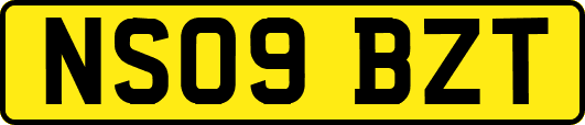 NS09BZT