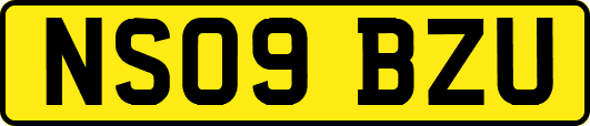 NS09BZU