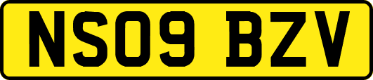 NS09BZV