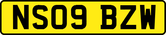 NS09BZW