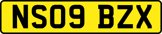 NS09BZX