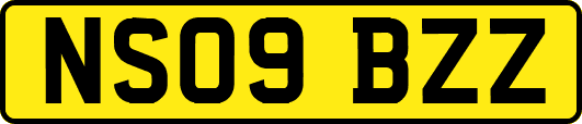 NS09BZZ