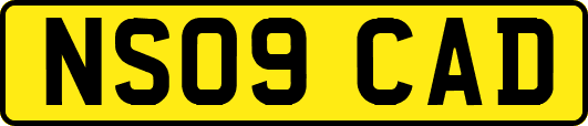 NS09CAD