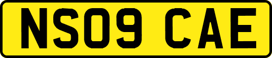 NS09CAE
