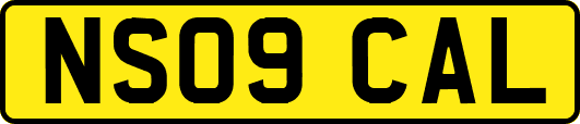 NS09CAL