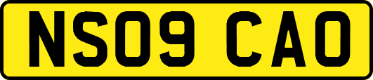 NS09CAO