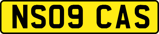 NS09CAS