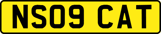 NS09CAT