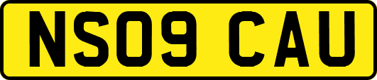 NS09CAU