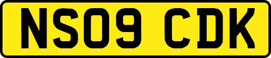 NS09CDK