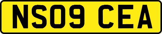 NS09CEA
