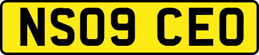 NS09CEO