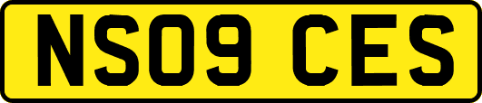NS09CES