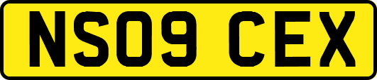 NS09CEX