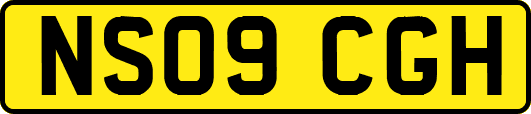 NS09CGH