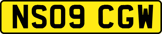 NS09CGW