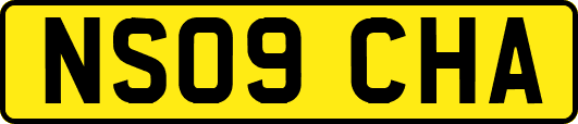 NS09CHA