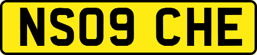 NS09CHE