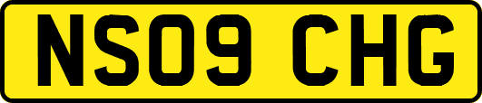 NS09CHG
