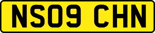 NS09CHN