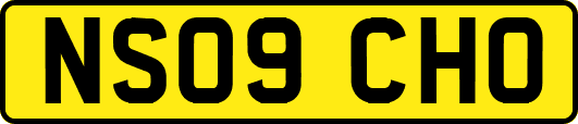 NS09CHO