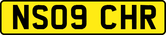 NS09CHR