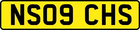 NS09CHS