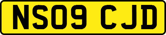 NS09CJD