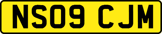 NS09CJM