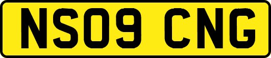 NS09CNG