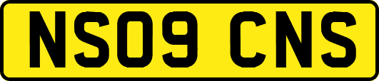 NS09CNS