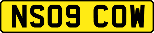 NS09COW
